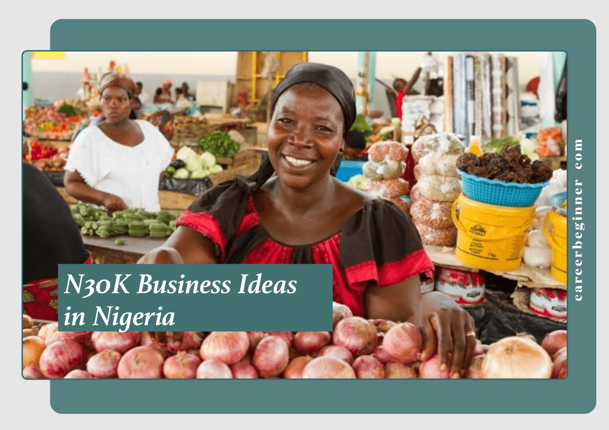 Best Business Ideas In Nigeria To Start With Just N30k!